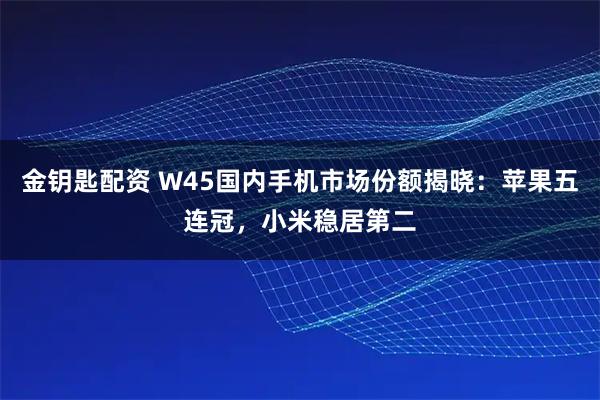 金钥匙配资 W45国内手机市场份额揭晓：苹果五连冠，小米稳居第二