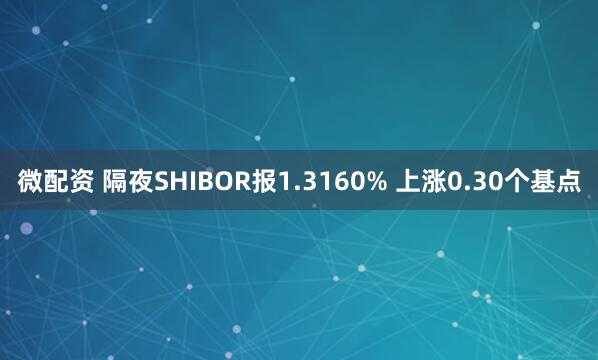 微配资 隔夜SHIBOR报1.3160% 上涨0.30个基点