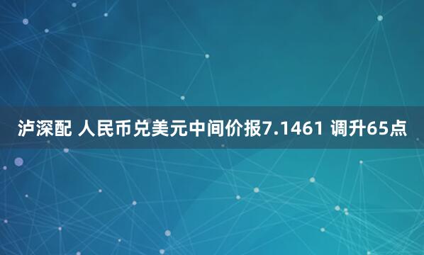 泸深配 人民币兑美元中间价报7.1461 调升65点